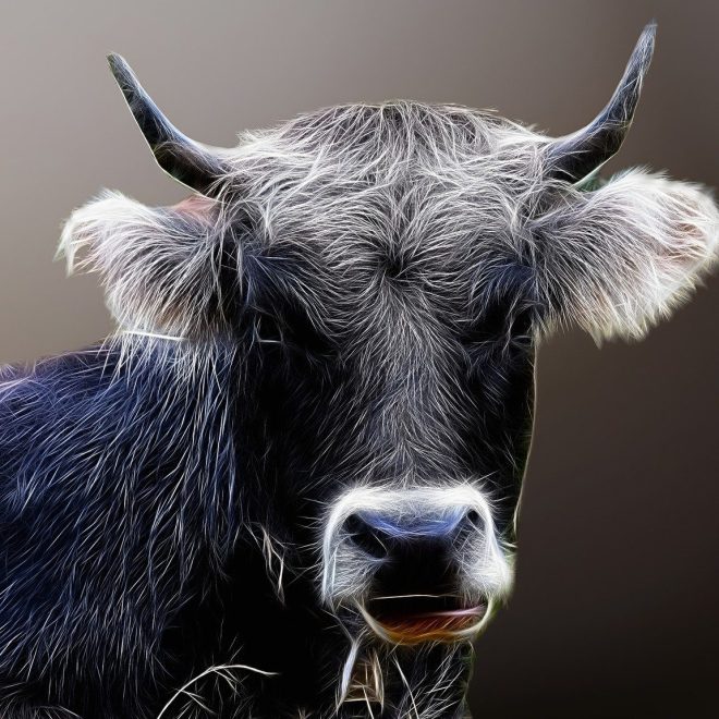 Plugins - Maximiser l'engagement des utilisateurs sur votre site Wordpress grâce aux plugins de médias sociaux